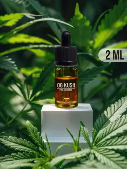 Terpènes naturels de chanvre sativa OG Kush, en ligne Amnesiashop.fr