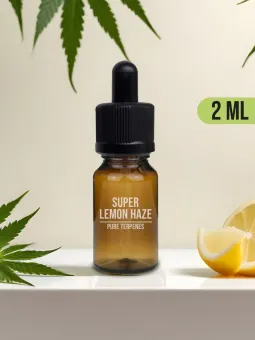 Terpènes naturels de chanvre sativa Super Lemon Haze Amnesiashop.fr
