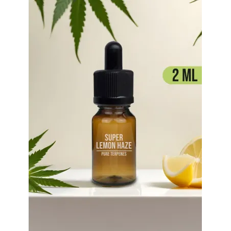 Terpènes naturels de chanvre sativa Super Lemon Haze Amnesiashop.fr