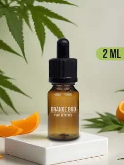 Terpènes naturels de chanvre sativa Orange Bud, sur Amnesiashop.fr