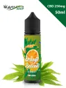 Orange Balcan e-liquides au CBD - en ligne sur amnesiashop.fr