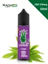 Strawberry Diesel e-liquides au CBD - en ligne sur amnesiashop.fr
