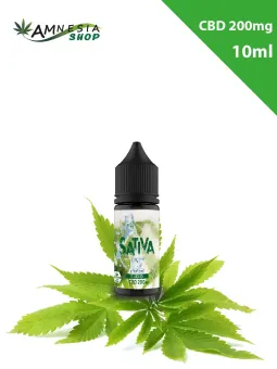 E-liquides cannabis 10ML au CBD 200mg - en ligne sur amnesiashop.fr